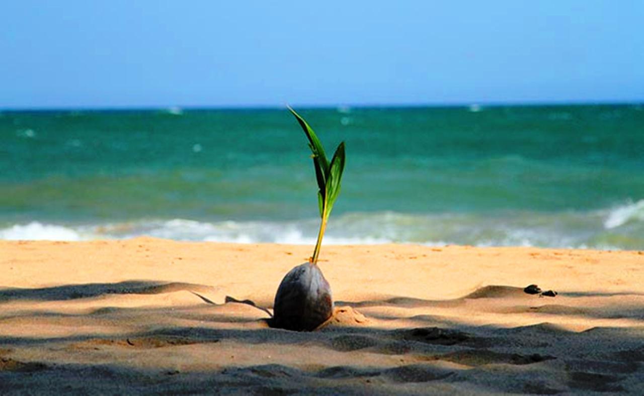 Chill Space Negombo Buitenkant foto